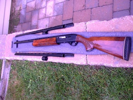 Hola, recientemente he adquirido la Remington 1100 que estaba a la venta en la Armería Navas, para mí 161