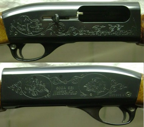 Hola, recientemente he adquirido la Remington 1100 que estaba a la venta en la Armería Navas, para mí 30