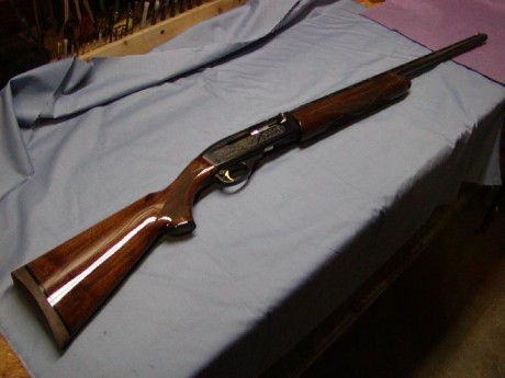 Hola, recientemente he adquirido la Remington 1100 que estaba a la venta en la Armería Navas, para mí 61