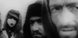 Viendo documentales...

     Parad la imagen en el segundo 38.

     YermYph0mgQ 

     ¿¿¿Es una mujer 21