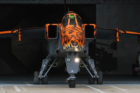 Pues eso, en este hilo pretendo deleitaros como amantes de los aviones de combate que sois muchos, con 02