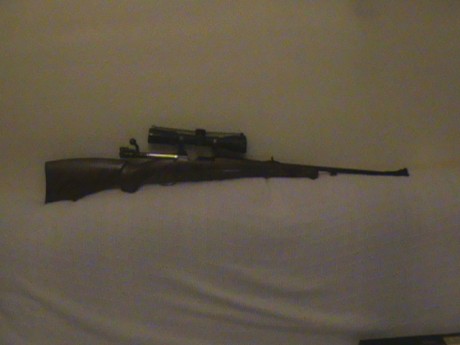 Vendo rifle de cerrojo  BRNO  mod. 98 calibre 30-06, con monturas de pivote eaw de apel originales ,visor 00