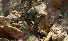 Agujeros de ratas, snipers holes, troneras o como le quieran llamar. Francotirador urbano el reto insuperable.

Un 140