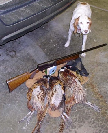 Hola, recientemente he adquirido la Remington 1100 que estaba a la venta en la Armería Navas, para mí 112