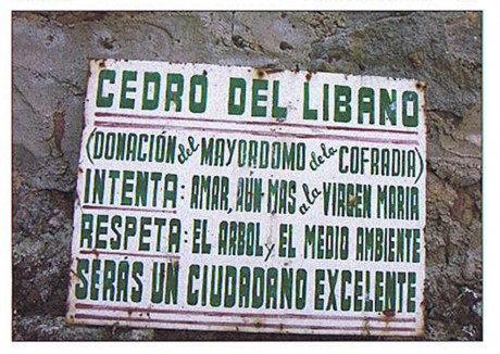 Hola conoceis esta frase??

"Mi vecino es anti-armas. En su casa NO HAY ARMAS. Yo, en estricto cumplimiento 81