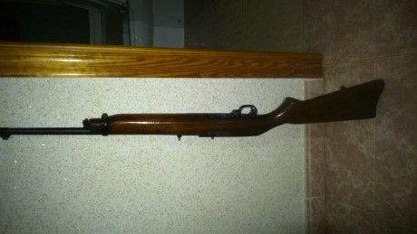 Hola a todos querria saber vuestra opinión srobre el ruger 44 magnun para ganchos en montes muy cerrados 170