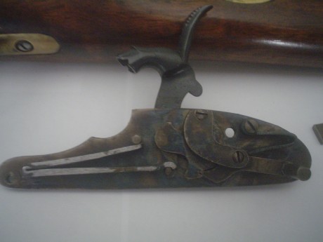 Hola compañer@s,acabo de adquirir esta,creo,maravillosa arma de fabricación nacional.Me gustaria que me 60