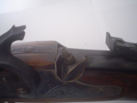 Hola compañer@s,acabo de adquirir esta,creo,maravillosa arma de fabricación nacional.Me gustaria que me 81