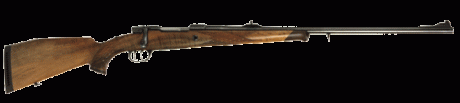 Sólo era para iniciar un debate sobre estos rifles, me refiero a los voere de cerrojo y al semiautomático.

A 01