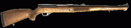 Sólo era para iniciar un debate sobre estos rifles, me refiero a los voere de cerrojo y al semiautomático.

A 00