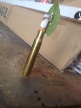 Hola a todos quien me puede decir cargas con datos para este calibre y pólvora. Quiero cargar puntas de 110