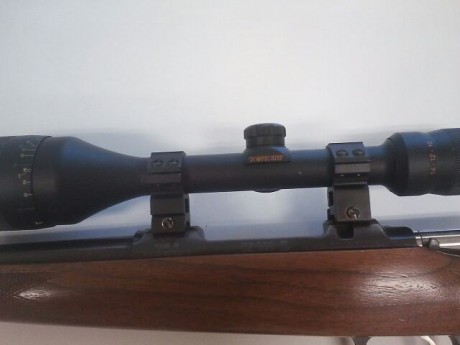 pongo el anuncio de este juguetillo de n amigo, es un rifle ceska 550 varmint calibre 308 con 2 años y 12
