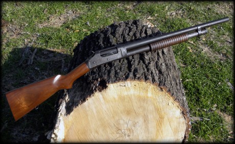 Hola, un amigo y yo estamos planteandonos  comprarnos escopetas Norinco 1897, mi pregunta es si merece 32