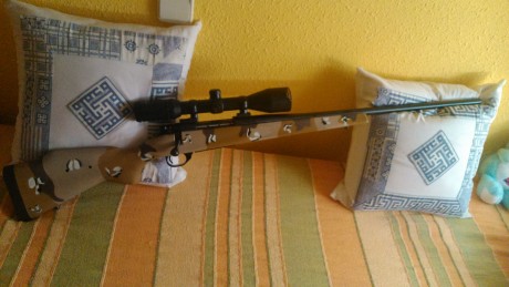 Cuantos usuarios de .338 win. mag. hay en el foro? 40