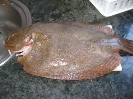 Este es un llamamiento para los foreros de Cantabria que no tenemos el gusto de conocernos en persona, 12