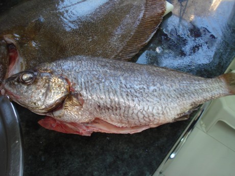 Este es un llamamiento para los foreros de Cantabria que no tenemos el gusto de conocernos en persona, 11