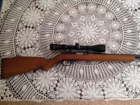 Vendo esta carabina semiautomática marca Marlin del calibre 22 LR. Tiene muy pocos disparos realizados. 01