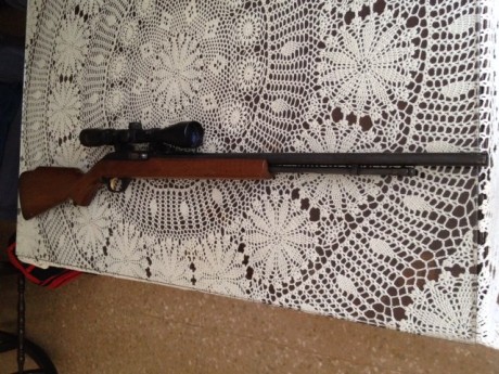 Vendo esta carabina semiautomática marca Marlin del calibre 22 LR. Tiene muy pocos disparos realizados. 00