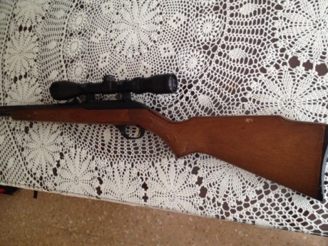 Vendo esta carabina semiautomática marca Marlin del calibre 22 LR. Tiene muy pocos disparos realizados. 11