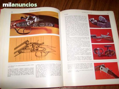 Vendo la Enciclopedia de la Caza. 2 tomos. De Editorial Vergara.
En muy buen estado.
28€ envio incluido. 20