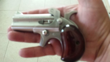 Me gustaria encontrar una derringer de cartucho metalico en AE. 
cal 22lr. 45lc. 
¿Alguien las importa?
 51