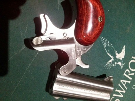 Me gustaria encontrar una derringer de cartucho metalico en AE. 
cal 22lr. 45lc. 
¿Alguien las importa?
 50