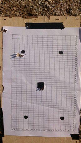 ¿Nos animamos a mostrar blancos de nuestros rifles de caza habituales? Con la munición que habitualmente 11
