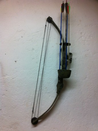 Vendo arco de poleas regulable de 40 a 70lbs marca black bear, Tiene puntos de mira regulables,acople 02