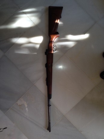 Pues empiezo yo :mrgreen: 3
De todas las armas que he tenido y tengo y de todos los disparos que he realizado, 100