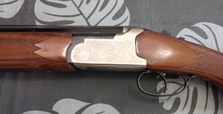 Vendo escopeta superpuesta:

-Marca Lanber.
-Calibre 12.
-70 cm de cañón.
-Mono-gatillo.
-Expulsora.
-Selector 01