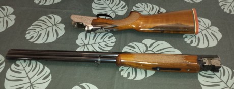 Vendo escopeta superpuesta:

-Marca Lanber.
-Calibre 12.
-70 cm de cañón.
-Mono-gatillo.
-Expulsora.
-Selector 00