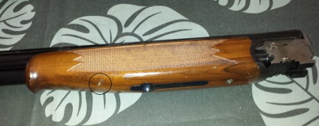 Vendo escopeta superpuesta:

-Marca Lanber.
-Calibre 12.
-70 cm de cañón.
-Mono-gatillo.
-Expulsora.
-Selector 10
