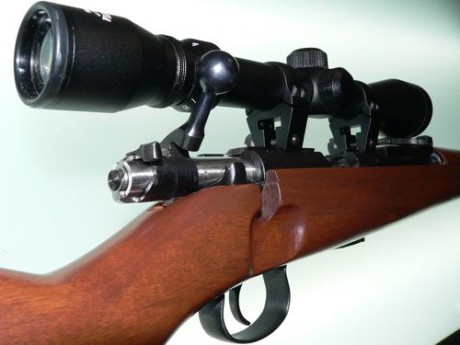 hola amigos del tiro, voy a comprar mi primera carabina 
y la elegida es la norinco JW-25 tipo mauser, 110