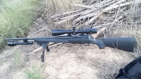 saludos

estoy por adqurir un cerrojo en 300 WM  y los modelos finalistas son:

WEATHERBY VANGUARD S2...........................900 80