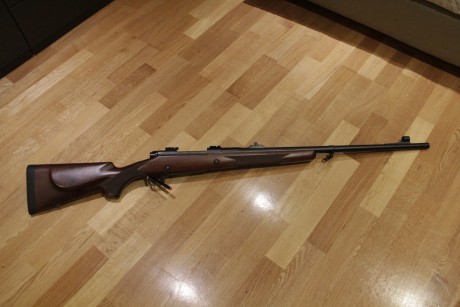 Pues empiezo yo :mrgreen: 3
De todas las armas que he tenido y tengo y de todos los disparos que he realizado, 22
