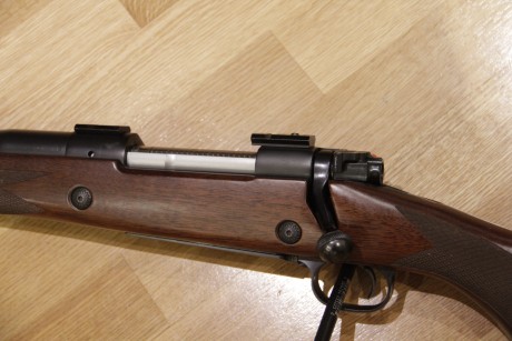 Pues empiezo yo :mrgreen: 3
De todas las armas que he tenido y tengo y de todos los disparos que he realizado, 21