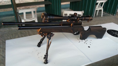 vendo  BSA scorpion T10 en 4.5 con un cargador o
cambiaria por pcp gunpower
Precio 375€
(sin visor ni 00