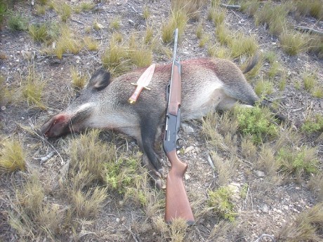 Ya podéis empezar a poner cosas.

 LOS ALMUERZOS DE CAZA MENOR NO CUENTAN Y LOS ABATES SIN FOTO TAMPOCO 10