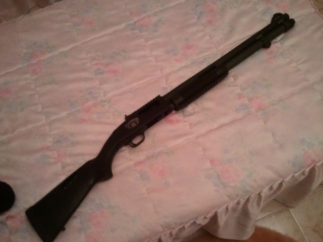 Como ya había posteado en otro mensaje iba a adquirir una Mossberg corredera del cal. 20 que es una 500. 82