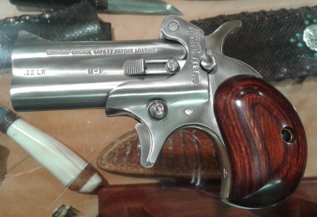 Me gustaria encontrar una derringer de cartucho metalico en AE. 
cal 22lr. 45lc. 
¿Alguien las importa?
 70