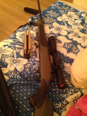 Hola buenas tardes, he adquirido recientemente un weatherby 270win con óptica LEUPOLD european 30 3-9-40. 40