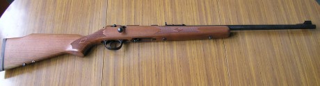 Se vende carabina de cerrojo Marlin 882 en calibre .22 Magnum.
Es de madera de nogal y está prácticamente 00