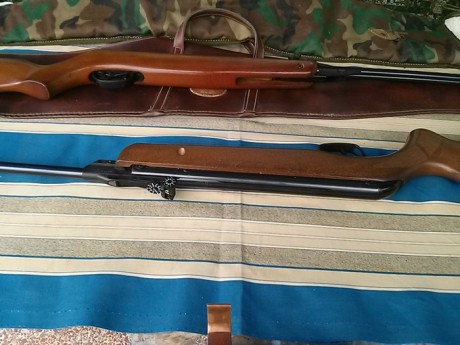   Muy buenas, un compañero me ha dado para vender sus 2 carabinas Gamo ambas del calibre 4,5 mm con sus 02