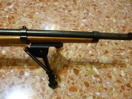 Se vende carabina destroyer del calibre 9 largo.

El arma tiene ya sus años y ha pegado bastantes disparos, 11