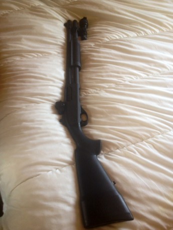 Hola compañeros,

Llevo tiempo dándole vueltas a hacerme con un 9,3 x 62 semiautomático para monterías, 01