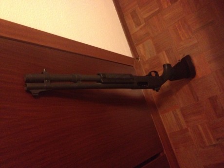 Hola compañeros,

Llevo tiempo dándole vueltas a hacerme con un 9,3 x 62 semiautomático para monterías, 10
