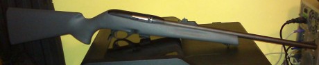 Pues eso, que cambiaría mi carabina  Remington 597 del calibre 22 Lr  por arma de avancarga. La carabina 00