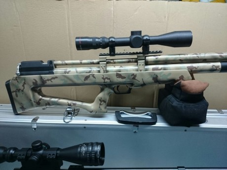 muy buenas soy tirador y era reacio a las armas de aire comprimido. Pero un compañero me dejo probar su 00