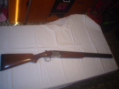 Hola compañer@s,pues eso que lo que tengo en venta tambien podria cambiarlo por este rifle.

 Rifle Brno 12