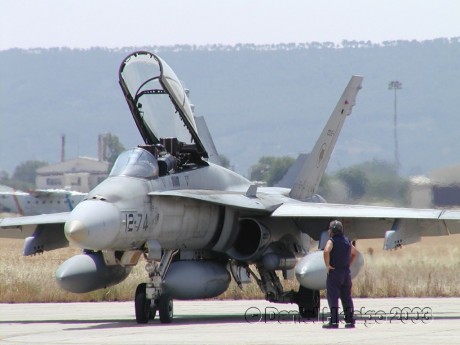 Pues eso, en este hilo pretendo deleitaros como amantes de los aviones de combate que sois muchos, con 171